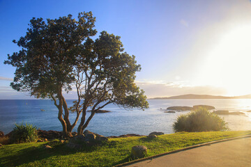 Sunrise over the beach in south west rocks Australia.Relaxing corner in the morning watching the sunrise.Beautiful view point.Beautiful view point watch the sunrise in the morning at South west rocks.