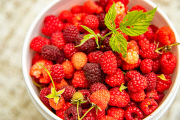 fresh organic raw raspberries in a bucket just picked up on a berry farm, pick your own, summer harvest