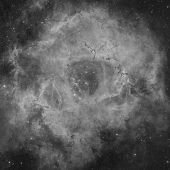 Rosette nebula, also known as NGC 2237 in the monoceros constellation. Taken with my telescope in narrowband filter.