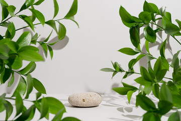 Fototapeta na wymiar Empty stone podium, natural branches and green leaves with shadows on light grey background. Backdrop with round rock for product presentation. Mockup for eco cosmetic advertising. Spring still life.
