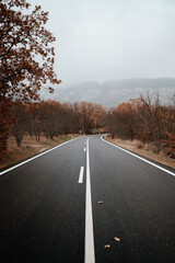 Carretera en otoño 