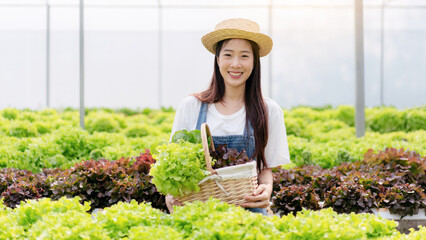 Woman smart farmer working and checking organic hydroponic veget