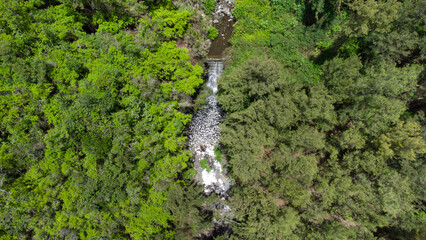 Naklejka premium Cascade