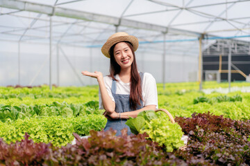 Woman smart farmer working and checking organic hydroponic vegetable quality in greenhouse plantation to management preparing export to sell