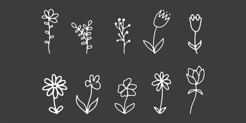Doodle flowers. Set with outline flora , simple shapes. Vector illustration isolated on white background