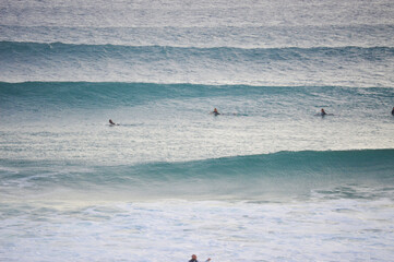 Australian surfers paddling Phillip Island waves surfboard surfboards ocean swim water