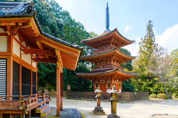 Naklejka premium 【奈良県】奈良市 霊山寺 三重塔 (2023/03/10撮影)