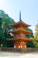 Obraz premium 【奈良県】奈良市 霊山寺 三重塔 (2023/03/10撮影)