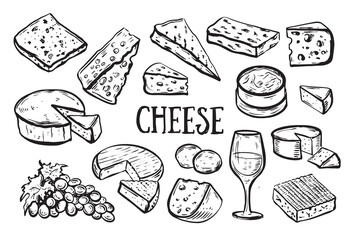 Cheese collection. Hand drawn illustration.