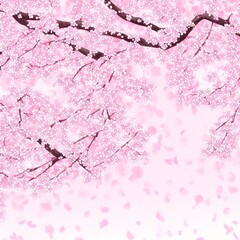 Cherry blossom, Sakura, Pink background, Generative AI