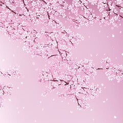 Cherry blossom, Sakura, Pink background, Generative AI