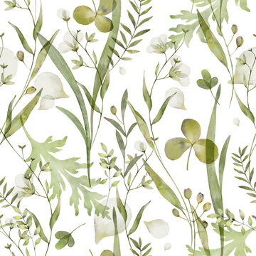 Green herbs and meadow weeds seamless pattern. Watercolor wild field background. Hand painted illustration
