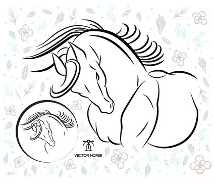 vector portrait outline for beautiful horse on white vector background pattern plus horse head in circle for digital art