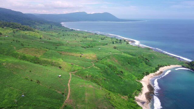 Beautiful View At Tranquil View With Ocean Beach And Agricultural Fields Of Corn Maize Rice with Mountain Background In Sumbawa Island, Indonesia. Aerial 4k