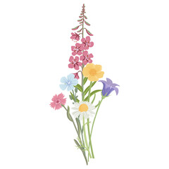 bouquet of field flowers, vector drawing wild plants at white background, floral elements, hand drawn botanical illustration