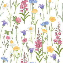 seamless pattern with field flowers, vector drawing wild plants at white background, floral ornament, hand drawn botanical illustration