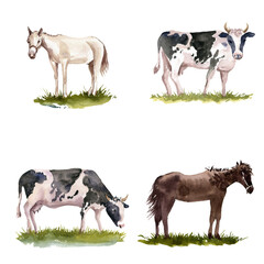 watercolor drawing sketch of cows and horses at green grass isolated at white background, hand drawn illustration
