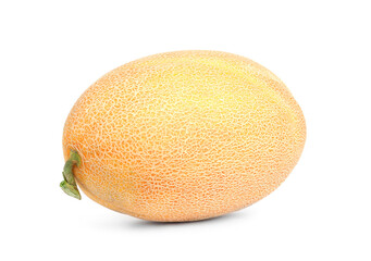 Whole tasty ripe melon isolated on white