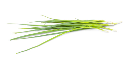 Fresh green spring onions on white background, top view