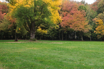 Fototapeta na wymiar Beautiful view of green public city park on autumn day
