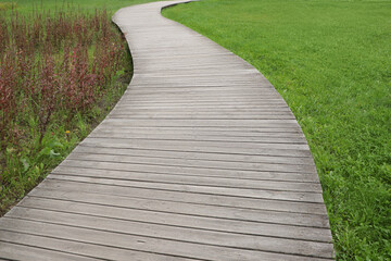 Obraz premium Beautiful public city park with pathway and green grass