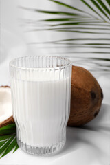 Glass of delicious coconut milk, palm leaves and coconuts on white table