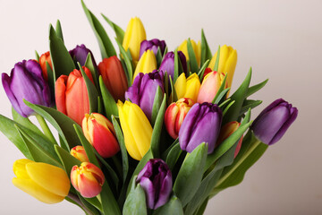 Bouquet of colorful tulips on white background, closeup