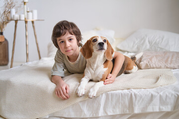 Smiling, child, beagle, enjoy, comfort, together., create, inviting, spaces, everyone, pet-friendly, home, furnishings.