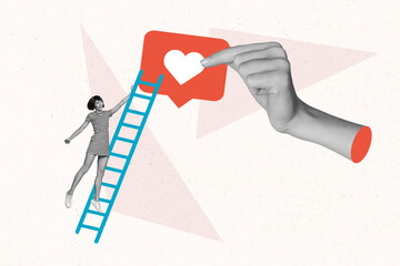 Banner poster collage of surreal young lady influencer smm climb ladder growing number facebook...