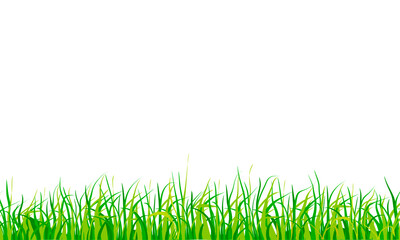 Fototapeta premium green grass border meadow footer frame isolated on white background