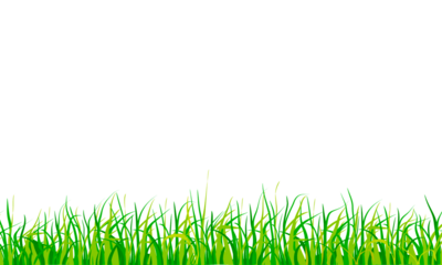 green grass border meadow footer frame isolated on white background