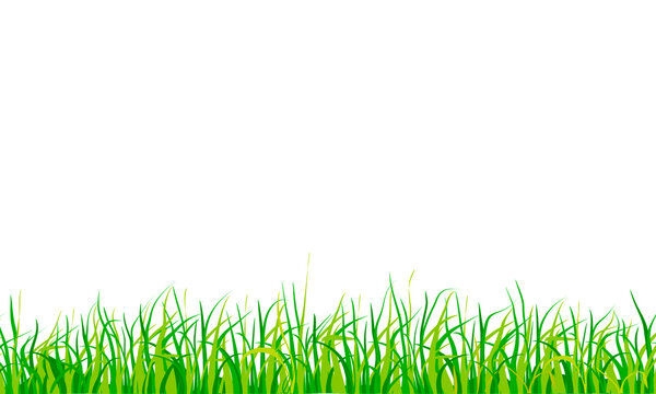 green grass border meadow footer frame isolated on white background