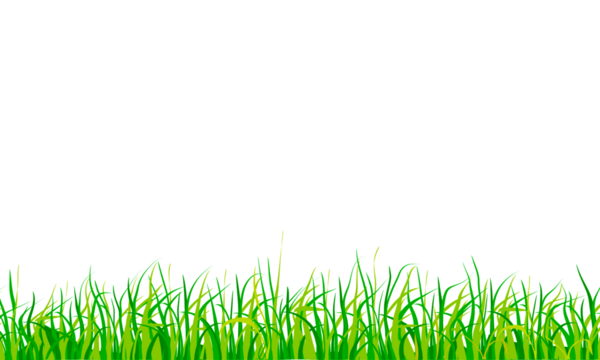 green grass border meadow footer frame isolated on white background