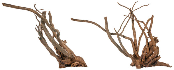 collection of a piece of a filigree root / trunk river wood, driftwood, natural wood, plant root, sera scaper root isolated on transparent background png image compositing footage alpha channel