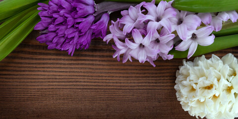 background of dark wood with hyacinths