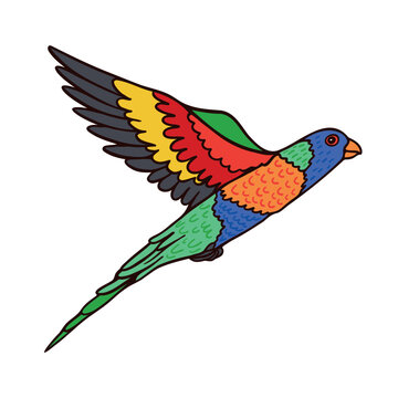 Rainbow Laurie Parrot Aussie bird color vector character side view