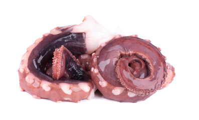 Squid tentacles isolated on white background. Fresh raw gigant squid.