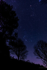 Stars and trees silhouette, night time