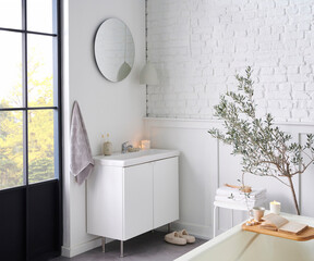 White bathroom, interior concept, cabinet, sink, mirror, accessory and plant, decorative style.