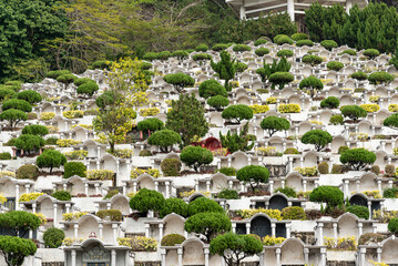 中国の墓地