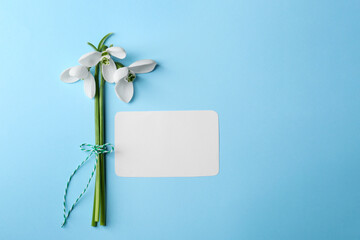 Beautiful snowdrops and paper card on light blue background, flat lay. Space for text