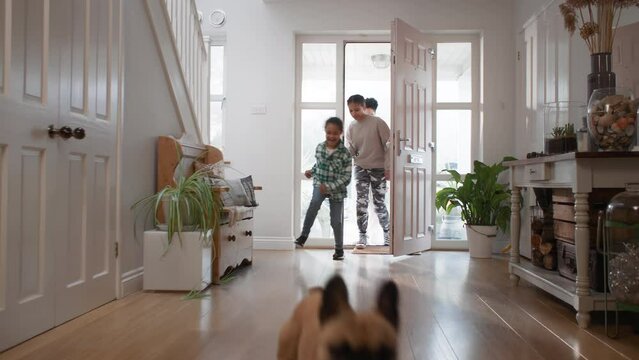 Family arriving home with French bulldog running through hall