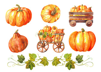 Watercolor set of farm pumpkins. Pumpkins from different angles, on carts and wagons