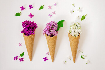 Three shades of lilac in an ice cream cone