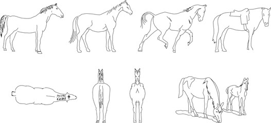 Sketch vector illustration of a wild horse animal in the forest