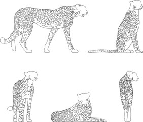 Vector sketch illustration of a wild cheetah animal in the jungle
