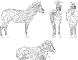 Vector sketch illustration of a wild zebra animal in the forest