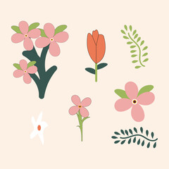 Beautiful flowers vector illustration and background