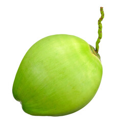 Fresh young green coconut isolated on transparent background, PNG image