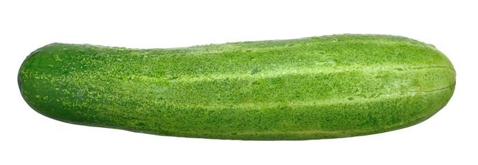 Fresh Cucumber with water drop isolated on transparent background, PNG image